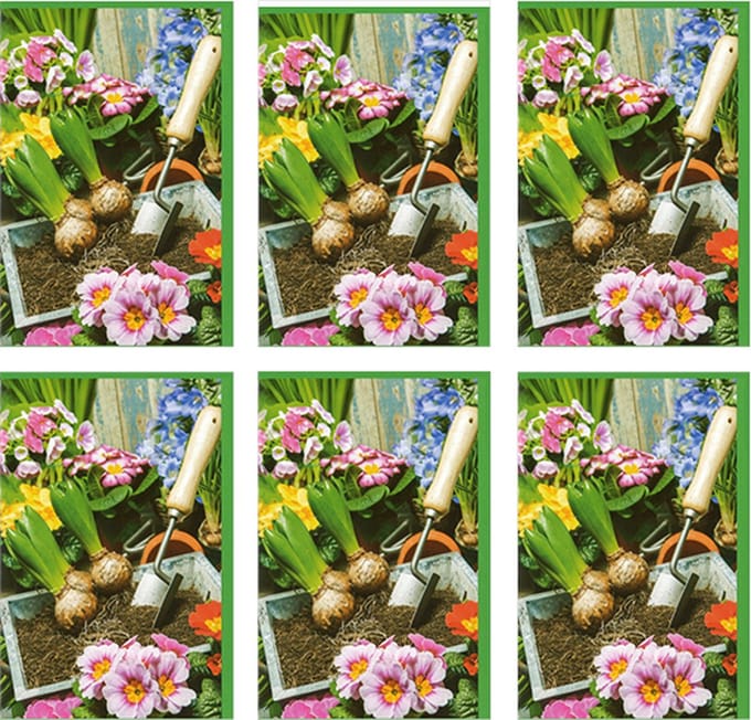 MGPcards - 6x dubbele wenskaart met envelop - Blanco - Bloemen - 11,5 x 17 cm