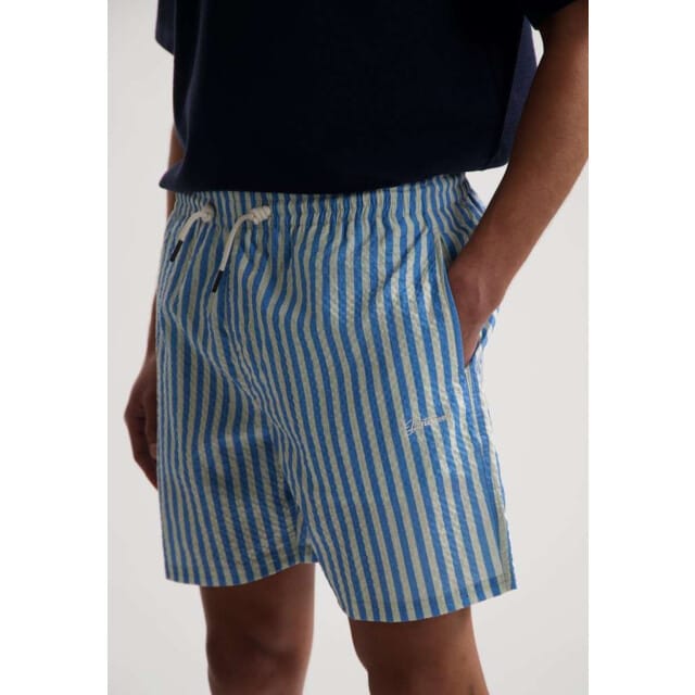 Dstrezzed Ds case stripe swimshorts