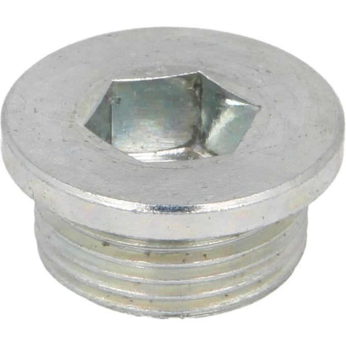 Schroef plug oliepan ELRING 587.180