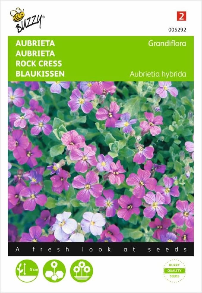 Aubrietia hybrida (gemengde kleuren)