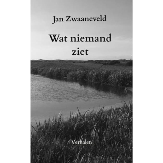 Wat Niemand Ziet - Jan Zwaaneveld