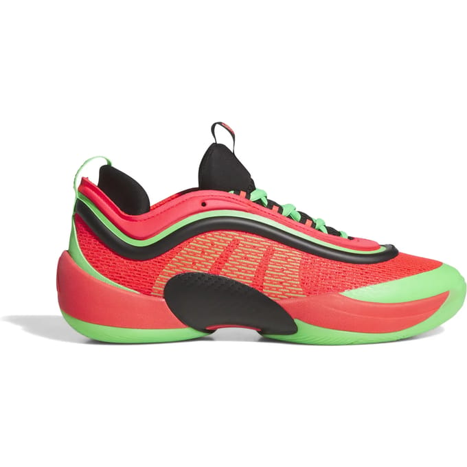 Basketbalschoenen adidas D.O.N. Issue 6