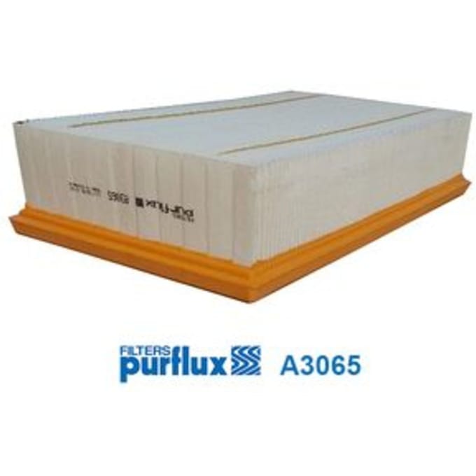 Luchtfilter PURFLUX A3065