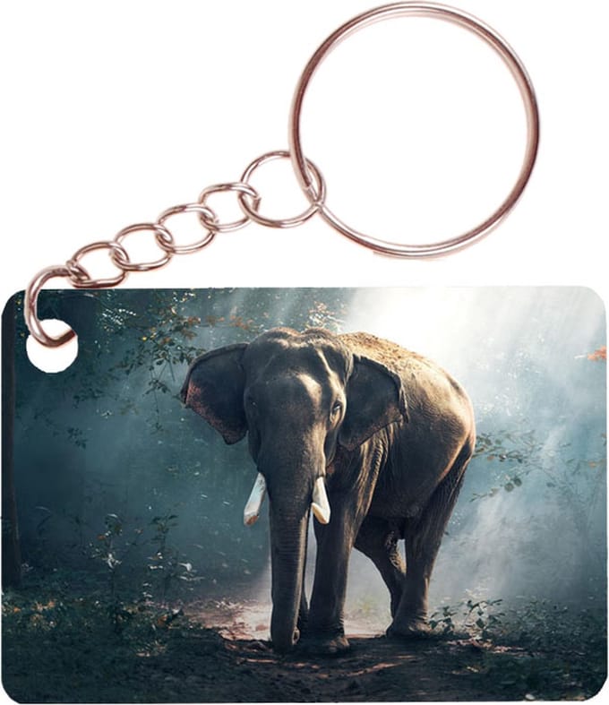 Sleutelhanger 6x4cm - Olifant