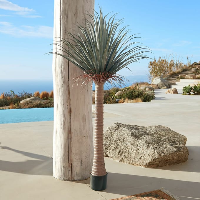 Decoratieve palmboom Remivon