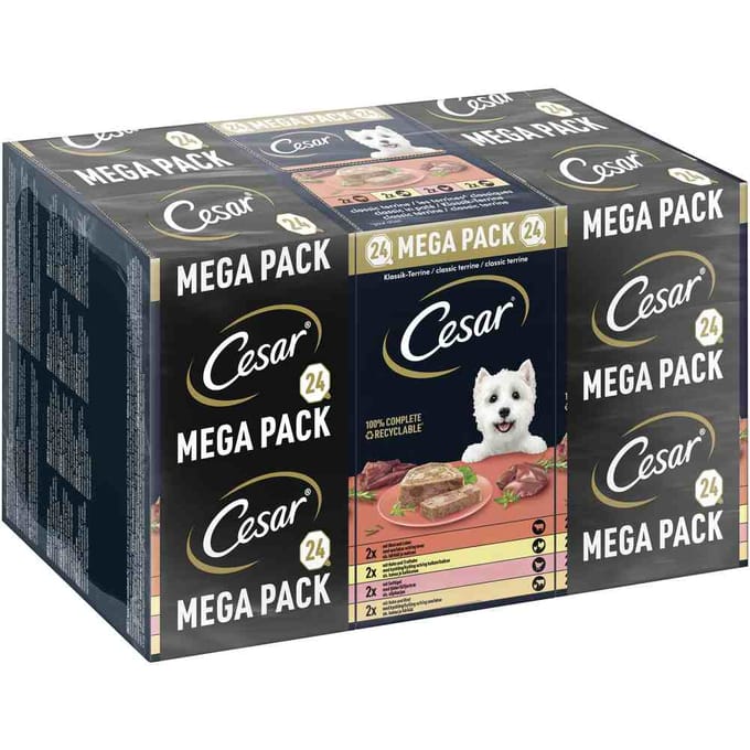 Cesar Hondenvoer - Classic Mix in Paté - Kuipjes - 24x150g