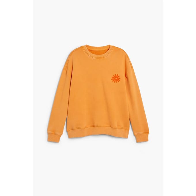 Junior Sweatshirt Desigual Arnold