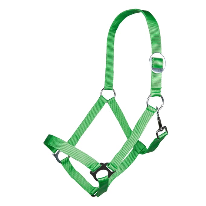 Halster voor paarden HKM Stars Economy
