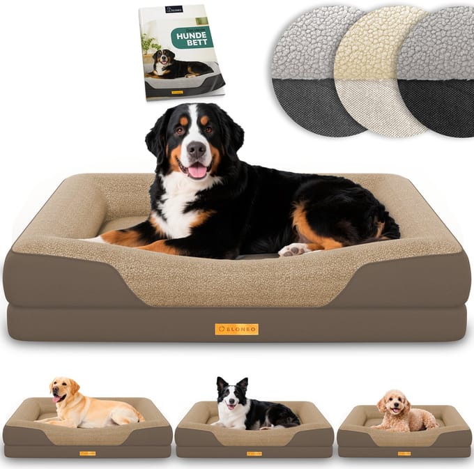 ELONEO Orthopedisch Hondenbed – XL – Bruin