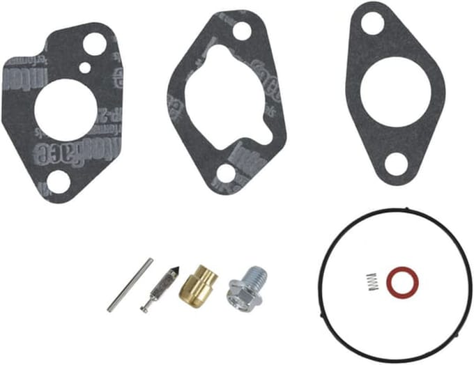 Briggs & stratton revisiekit carburateur