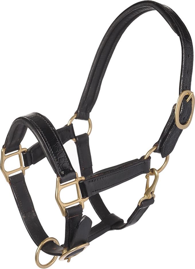 MHS Leren Halster “Croco” Extra Full Zwart / Goud