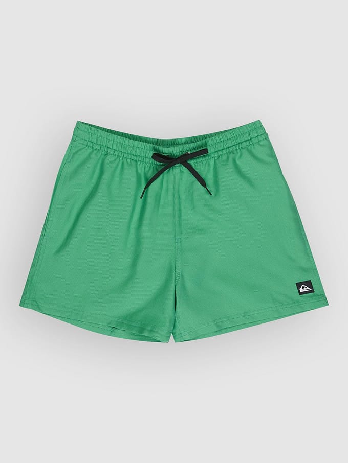 Quiksilver Everyday Deluxe Volley 15´´ Zwembroek Groen L Man