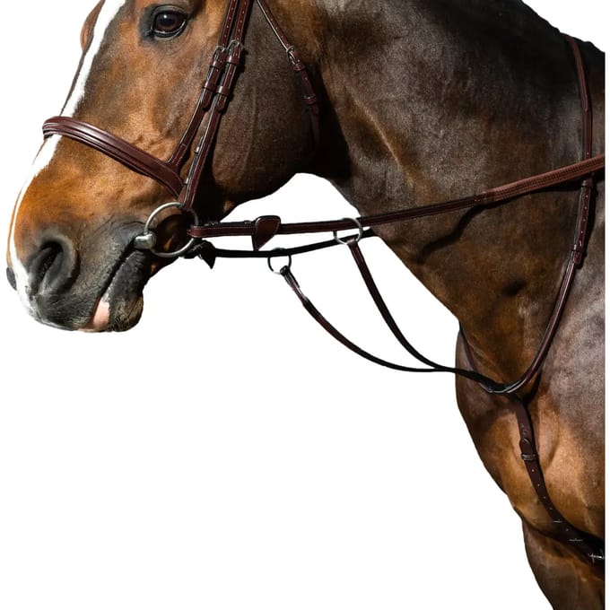 Martingale met ringen Dy'on New English Collection