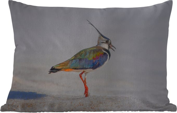 Buitenkussens - Tuin - Vogel - Dieren - Zand - Kievit - 50x30 cm