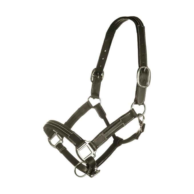 Leren halster voor paarden HKM Soft