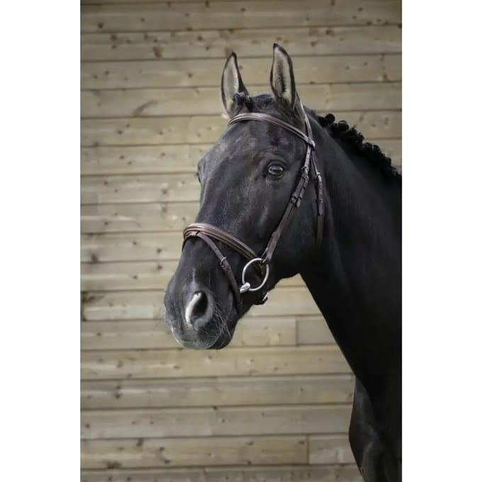 Hoofdstellen Norton Pro Fin