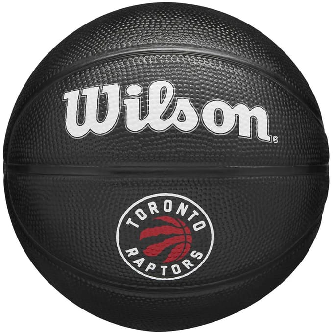Mini Bal nba Toronto Raptors