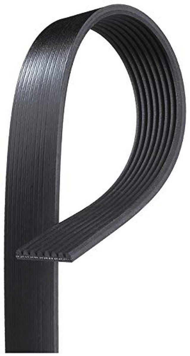 Comfortabele Riem voor Iedere Gelegenheid