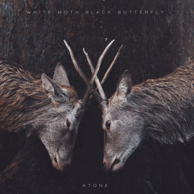Atone - White Moth Black Butterfly