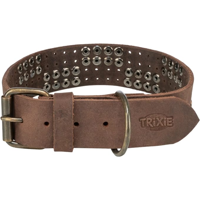 Hondenhalsband van rustiek leer met studs Trixie