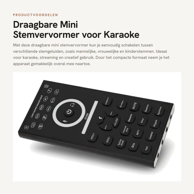 Handmicrofoon - Dailygoods- Stemvervormer Draagbaar Mini