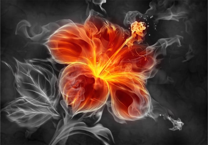 Fotobehang - Fiery flower inside the smoke.