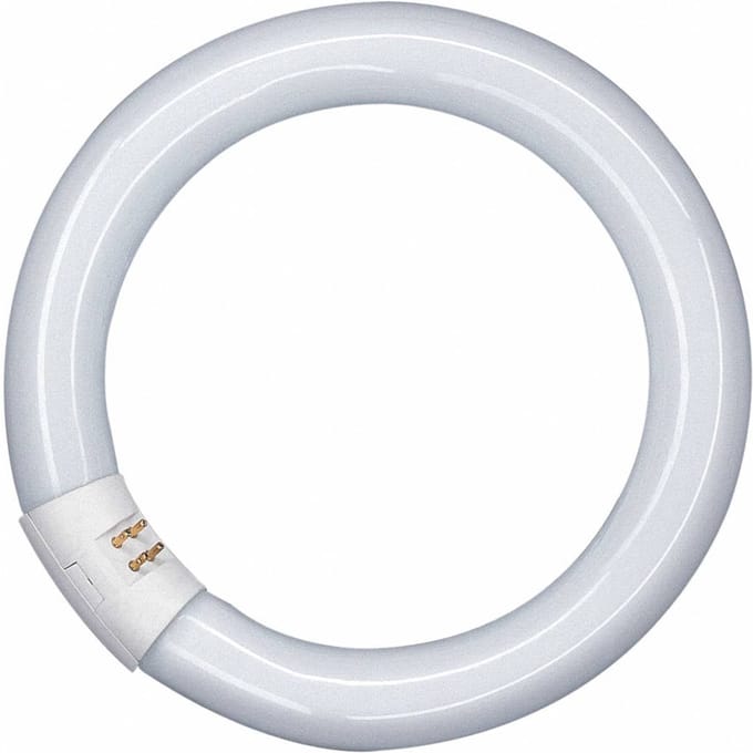 OSRAM G10q 32W 840 Lumilux T9C ringvormige tl-lamp