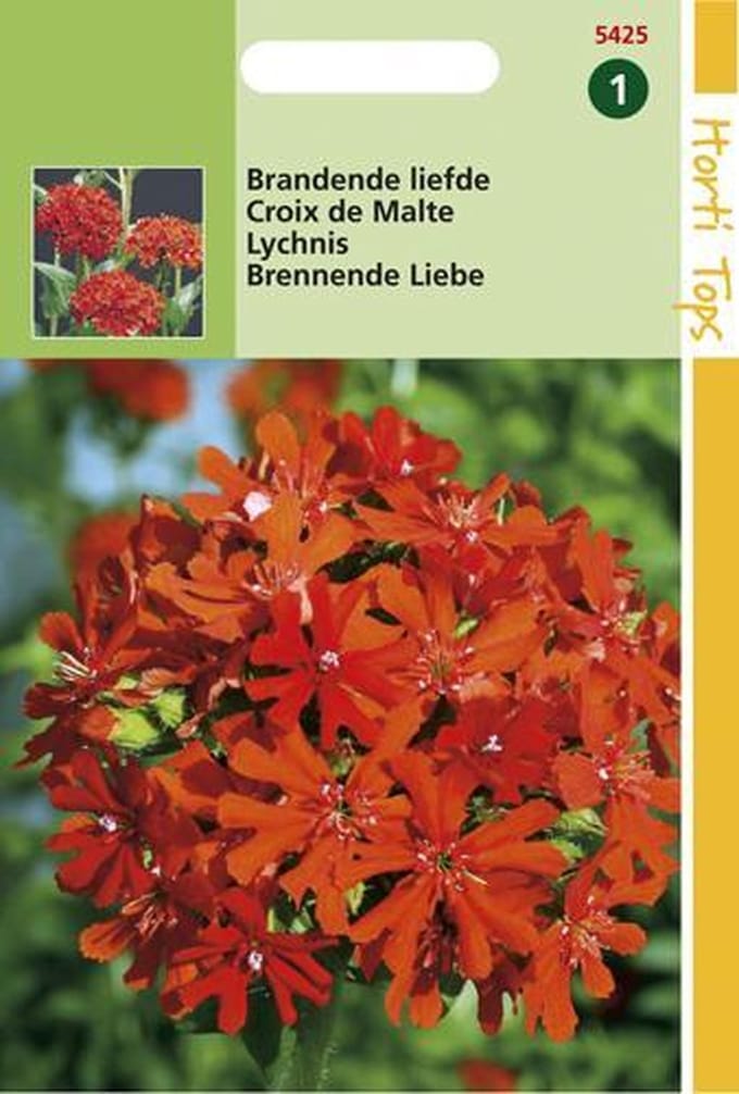 Hortitops zaden - Brandende Liefde Bloemzaad - Lychnis Chalcedonica
