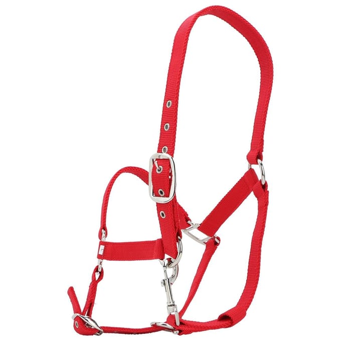 Bride d'équitation rouge épaissie 6 mm réglable licol de contrôle accessoires d'équitation red