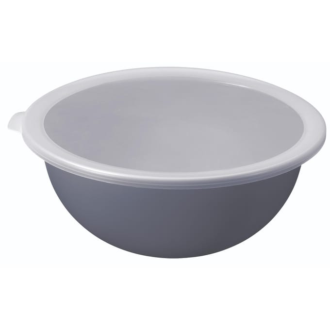 Rotho Schaal met Deksel 4.8L Horizon Blauw
