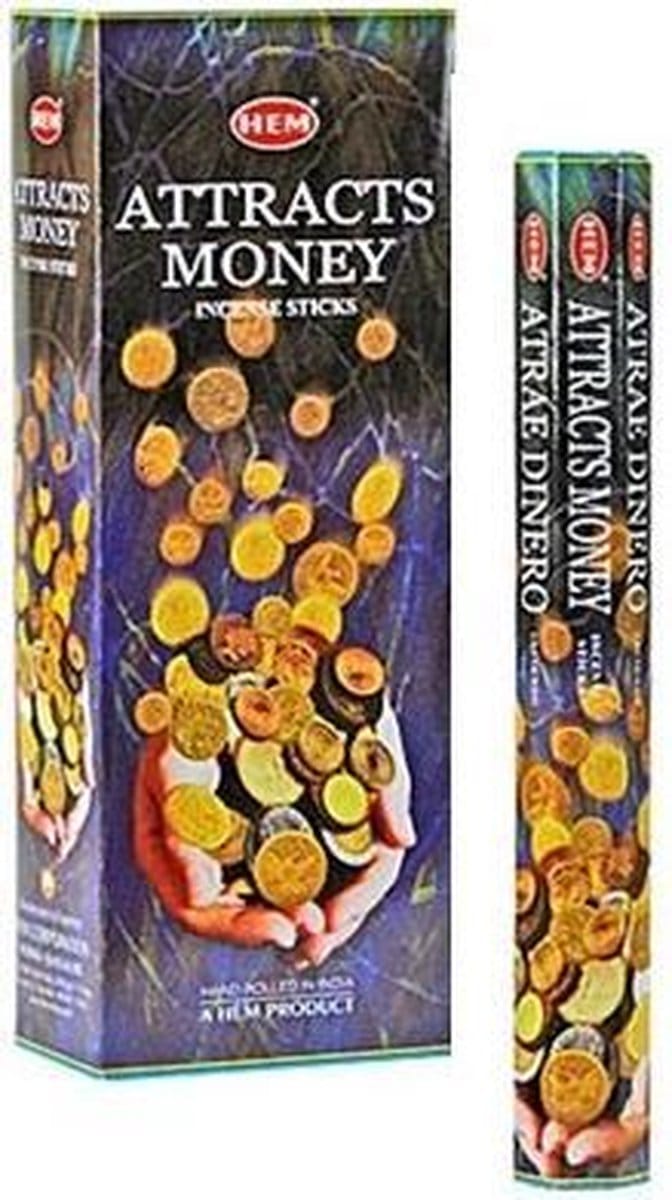 HEM Attracts Money Incense Sticks (20x) Wierookstokjes