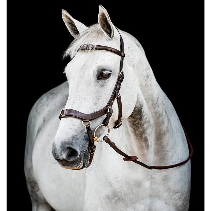 Anatomisch hoofdstel Horseware Micklem Multi