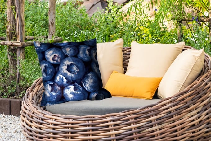 Buitenkussen Weerbestendig - Bessen - Blauw - Fruit - 50x50 cm