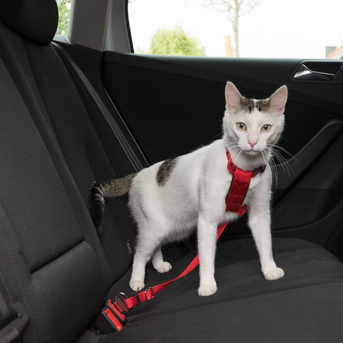 Trixie Car cat harness 20-50 cm/15 mm Rood