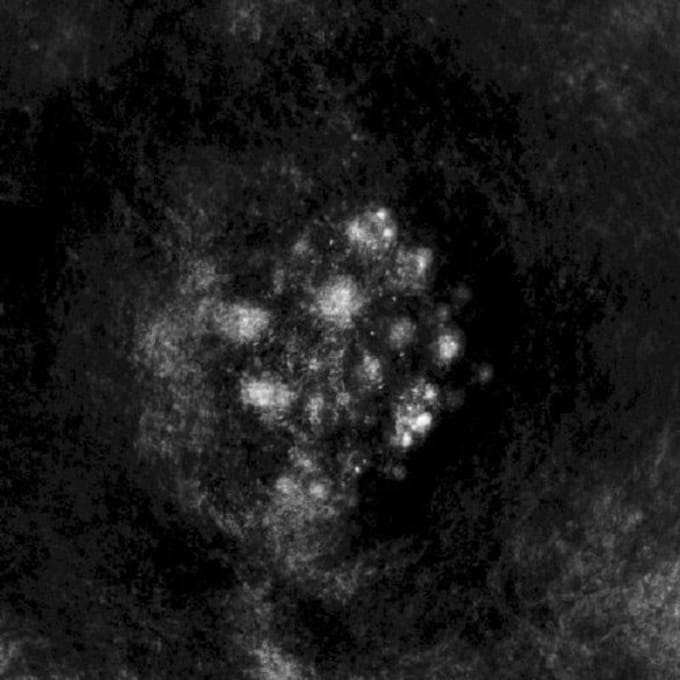 Saffronkeira - Synecdoche (CD)