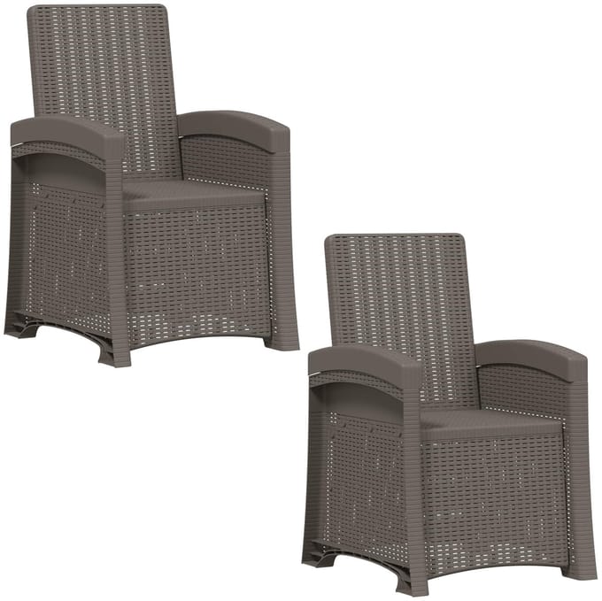 vidaXL - Ligstoel - Rieten - Look - 2 - st - Lichtgrijs - PP