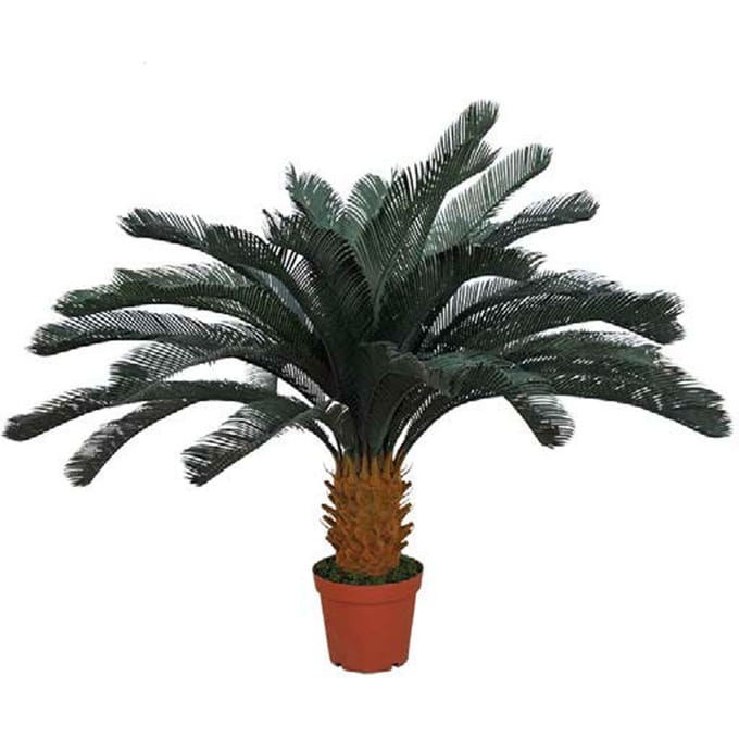 Intergard Kunstplanten Cica 125cm