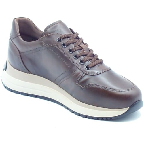 Nero Giardini - Schoenen - Bruin - Heren - Maat 41 -