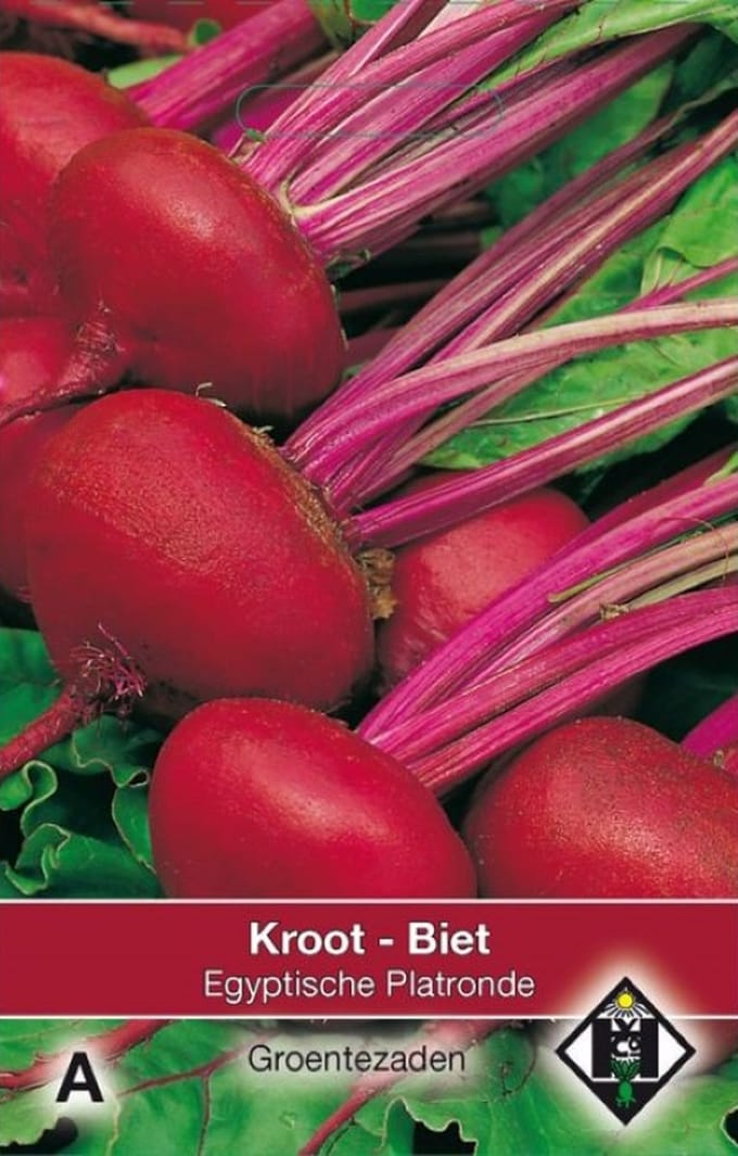 Van Hemert - Rode Biet, Kroot Egyptische Platronde
