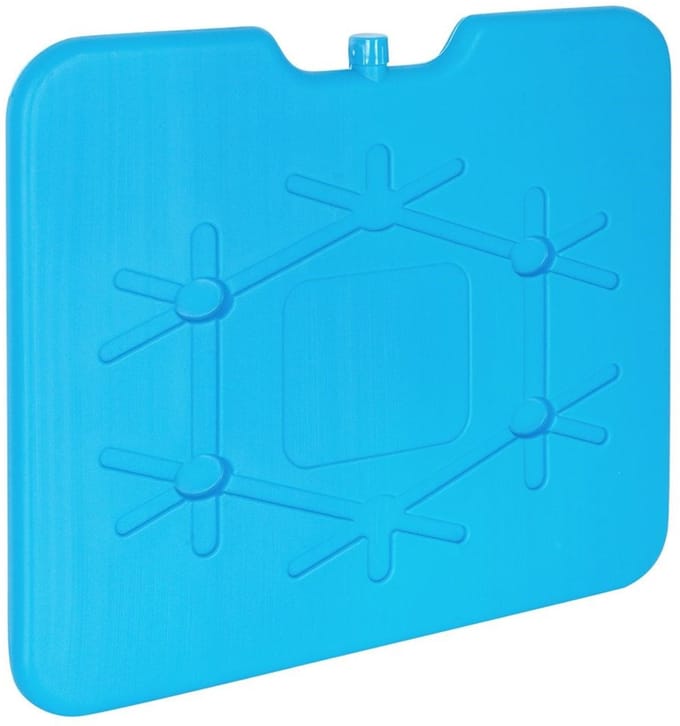 Plaque de refroidissement pour glacière de voyage plate, 640 g