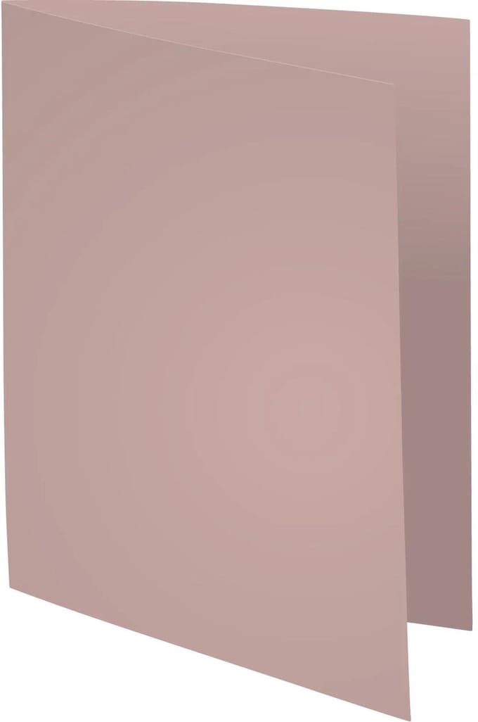 Exacompta 5x SUPER 60 - Pak van 250 inlegmappen - 22x31cm voor A4 - Grijs - 850009E