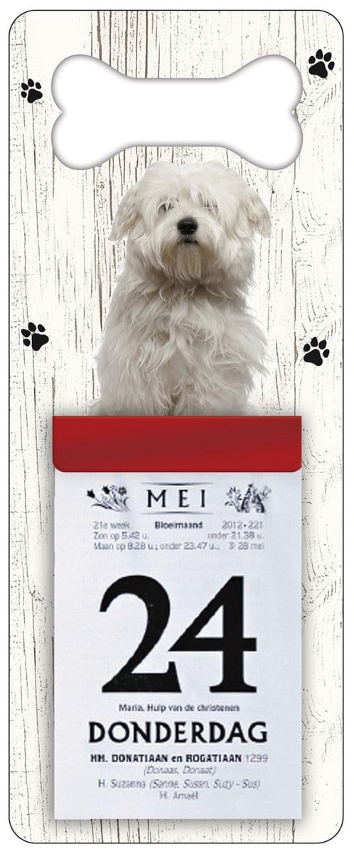 Scheurkalender 2027 Hond: Corton De TulÃ©ar