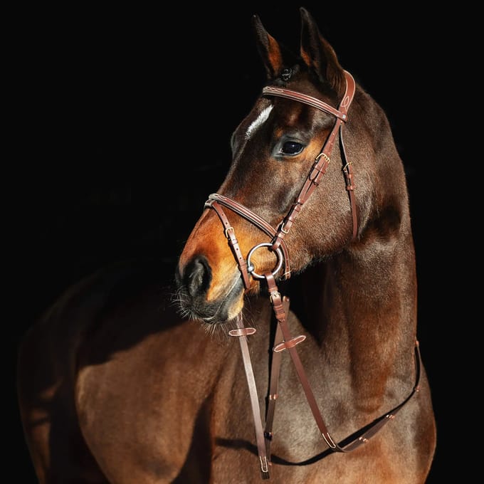 Horze Constance Gevoerd Gecombineerd Hoofdstel, Light Brown, Großes Warmblut