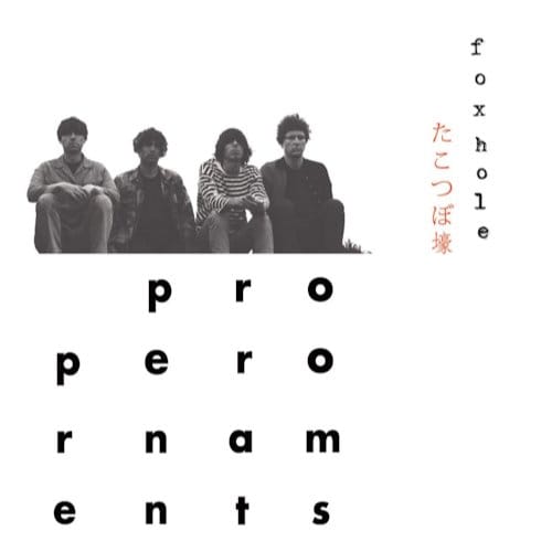 The Proper Ornaments - Foxhole (CD)