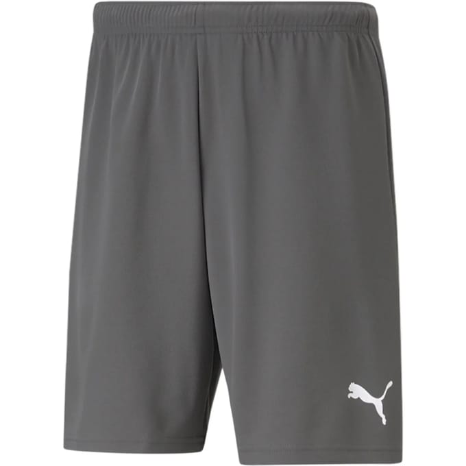 Short Puma Team Rise