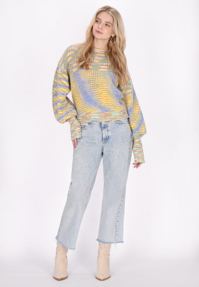 IZIA Jumper Dames Blauw Veelkleurig