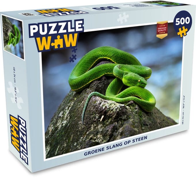 Puzzel Groene slang op steen - Legpuzzel - Puzzel 500 stukjes