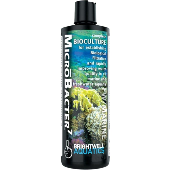 Brightwell Aquatics Microbacter7 250ml - Bactéries Nitrifiantes pour Aquarium Marin