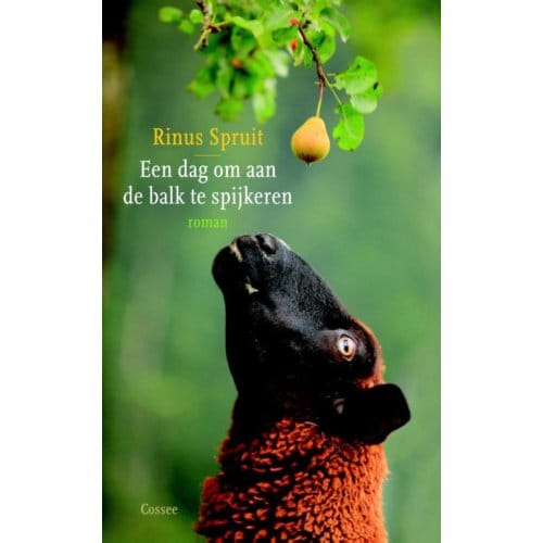 Een Dag Om Aan De Balk Te Spijkeren - Rinus Spruit