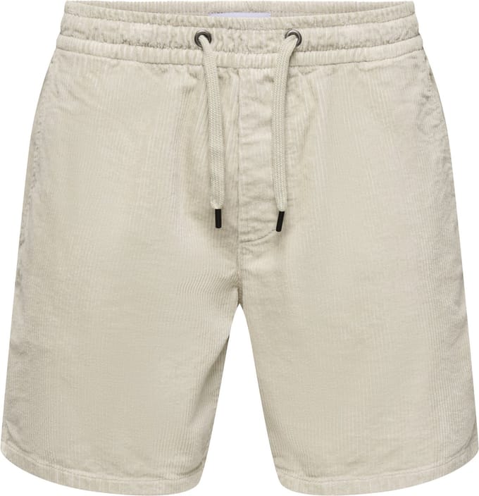 ONLY & SONS Shorts ONSTEL Regular fit Shorts